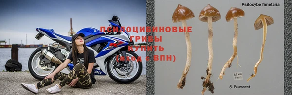 а пвп мука Балахна