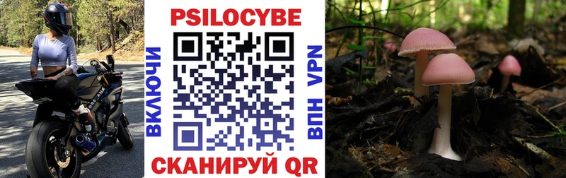 Галлюциногенные грибы Cubensis shop Telegram Верхняя Тура
